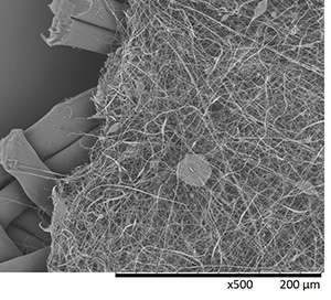 Figure 2. SEM image of a fine fiber nonwoven on a spunbond carrier substrate