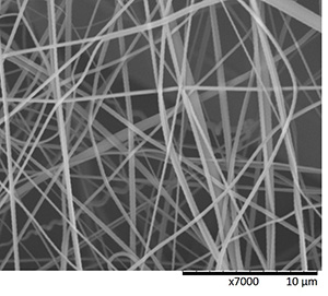 Figure 3. SEM image of a fine fiber nonwoven by centrifugal spinning