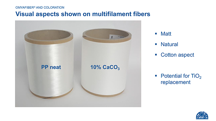CaCO3 in PP fibers gives a white/matt visual appearance