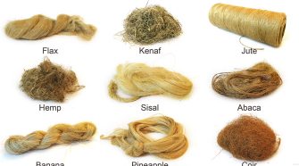 Figure 3. Most of the natural fiber reinforcements are fruit and vegetable fibers, specifically, bast, leaf and fruit fibers. Photo courtesy of Mohamad Midani