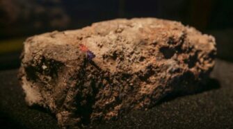 The only remaining piece of the ‘monster’ fatberg discovered at Whitechapel in East London was displayed at the Museum of London in 2024. A fatberg is a congealed lump of fat, sanitary napkins, wet wipes, diapers and items found in sewer systems.