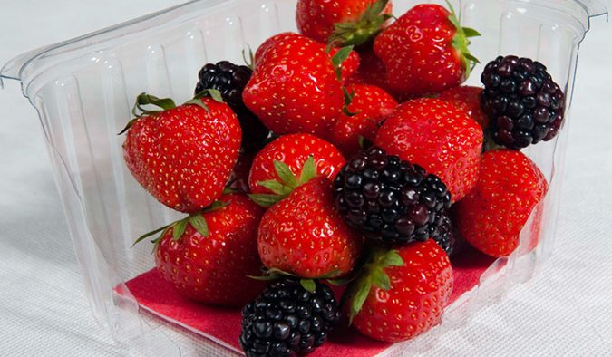 The Dri-Fresh Resolve compostable absorbent fruit pad provides an absorbent presentation surface for fruit