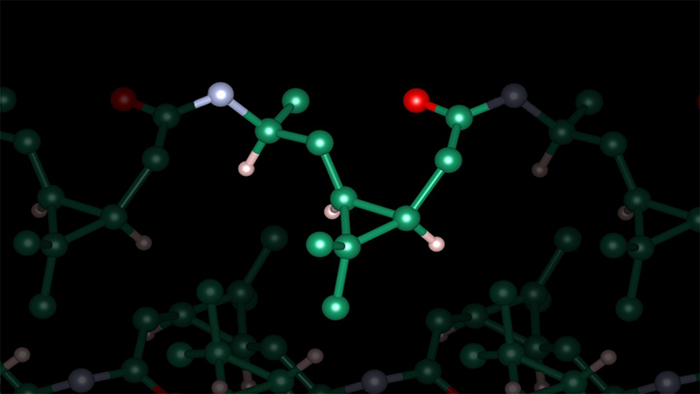 Monomeric unit of poly-3S-caranamide
